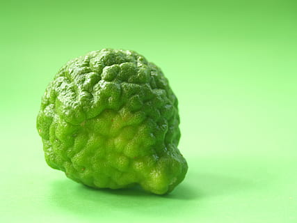 bergamota, Fruta, hoja, aislado, Tailandia, áspero, limón, natural, tropical, verde, herbario, orgánico, Lima, agrios, Asia, vegetal, tailandés, pelo, cocina, kaffir, hierba, ingrediente, antiguo, Fresco, comida, crudo, alimentación saludable, comida y bebida, color verde, foto de estudio, bienestar, frescura, fondo de color, de cerca, adentro, naturaleza muerta, nadie, solo objeto, fondo verde, separar, centrarse en primer plano, Fruta cítrica, tentación, 2K, CC0, dominio público, libre de derechos