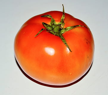 Gemüse, Tomate, Messe, Küche, rot, Rezept, Zutat, gesund, Essen und Trinken, Lebensmittel, gesundes Essen, Wohlbefinden, Obst, Stillleben, drinnen, Nahansicht, Studioaufnahme, Frische, weißer Hintergrund, keine Leute, einzelnes Objekt, orange Farbe, Tabelle, Rohkost, Pflanzenstamm, reif, 2K, CC0, gemeinfrei, lizenzfrei