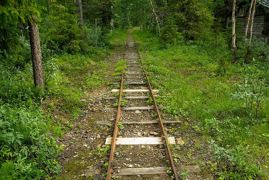 traccia, rotaie, ex, foresta, natura, ferrovia, colore verde, albero, all'aperto, pianta, direzione, la strada davanti, terra, crescita, nessuno, giorno, bellezza nella natura, scena non urbana, la tranquillità, trasporto ferroviario, legno - materiale, scena tranquilla, 4K