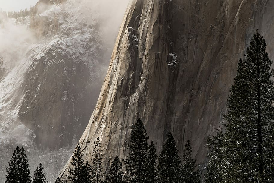fotografie, pini, lângă, Munte, stâncos, textură, stâncă, yosemite, peisaj, copaci, copac, temperatura rece, teren, frumusețe în natură, natură, plantă, iarnă, pădure, scenice - natura, zăpadă, liniște, scenă non-urbană, zi, nici o persoana, vedere unghiulară joasă, mediu inconjurator, în aer liber, formatie rock, conifer, Brad, sloi de gheaţă, 5K