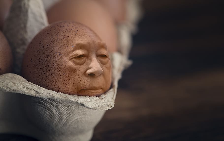 ou de pollastre, gris, safata d'ous, iman, ou, caixa d’òvuls, cara, ous de pollastre, menjar, Pasqua, marró, Photoshop, manipulació, cara d'ou, representació humana, representació, escultura, primer pla, art i artesania, estàtua, centrar-se en primer pla, part del cos humà, gent, semblança masculina, part del cos, creativitat, espiritualitat, artesania, religió, ulls tancats, semblança femenina, a l'interior, rostre humà, 2K