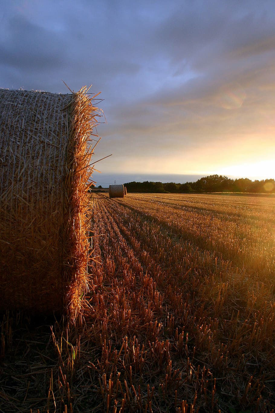 estiu, palla, camp, posta de sol, paisatge, tardor, granja, agricultura, cel, vermell, sortida del sol, terra, blat de moro, temporada, pa, orgànic, strohballen, escena rural, cap gent, planta de cereals, a l'aire lliure, naturalesa, planta, medi ambient, tranquil·litat, núvol - cel, escena tranquil·la, escenics - natura, bellesa a la natura, creixement, fenc, bala, 2K