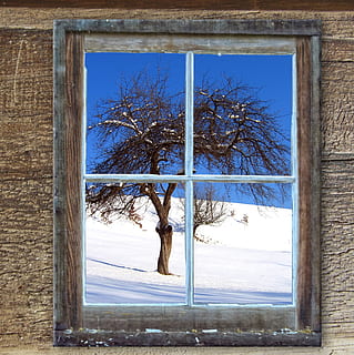 kahl, Baum, draußen, Fenster, alt, Hütte, Schnee, Berge, Winter, Landschaft, schneebedeckt, winterlich, Ski, romantisch, kalte Temperatur, Pflanze, Natur, Tag, keine Leute, Himmel, Land, kahler Baum, Umgebung, Szenen - Natur, Feld, Ruhe, Schönheit in der Natur, gefroren, 1080P, CC0, gemeinfrei, lizenzfrei