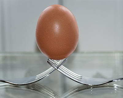 brown, poultry egg, forks, fork, egg, balance, art, food, food and drink, kitchen utensil, close-up, eating utensil, indoors, table, no people, freshness, still life, household equipment, healthy eating, focus on foreground, wellbeing, studio shot, vulnerability, fragility, glass - material, silver colored, crockery, breakfast, 4K, CC0, public domain, royalty free