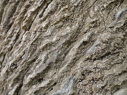 tronco, latido, árvore, natureza, madeira, casca de árvore, textura, tronco de árvore, rachaduras, tronco cortado, Pinhal, arvores, tronco de árvores, seco, outono, ramo, origens, padronizar, Castanho, rude, texturizado, abstrato, material, fechar-se, quadro completo, ninguém, Rocha, dia, rock - objeto, formação rochosa, sólido, ao ar livre, geologia, padrão natural, antigo, extinto, corroído, 2K, CC0, domínio público, royalty free