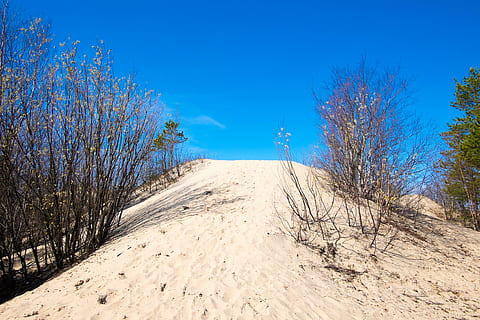 cielo, sabbia, duna, primavera, i cespugli, aggiornamento, strada, la via, albero, blu, pianta, terra, scenics - natura, nessuno, natura, paesaggio, bellezza nella natura, ambiente, la strada davanti, la tranquillità, cielo sereno, direzione, scena tranquilla, scena non urbana, giorno, all'aperto, prospettiva decrescente, erba di marram, 4K, CC0, dominio pubblico, privo di copyright