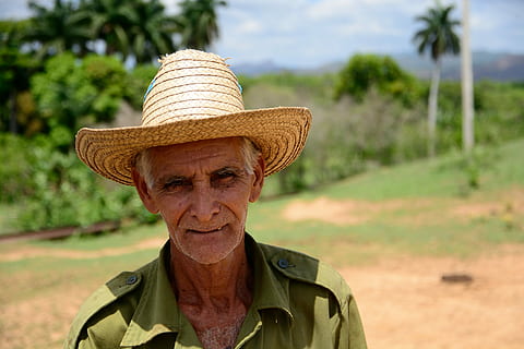 mand, smilende, overfladisk, fokus linse, landmand, hat, vender kameraet, gammel mand, cuba, grøn skjorte, skæg, hvidt hår, landsmand, sombrero, portræt, tøj, voksen, senior voksen, hovedskud, en person, forfra, træ, plante, landlige scene, natur, jord, gård, landbrug, rigtige mennesker, herrer, stråhat, udendørs, menneskeligt ansigt, 5K, CC0, offentligt domæne, royaltyfrie