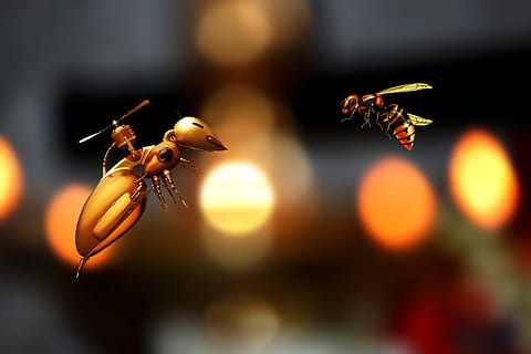 dos, abejas robot de oro, creativo, abeja, Art º, insecto, naturaleza, miel, diseño, panal, volar, linda, colmena, temas de animales, fauna animal, invertebrado, animal, de cerca, animales en la naturaleza, nadie, enfoque selectivo, volador, centrarse en primer plano, aire, grupo de animales, color naranja, al aire libre, ala animal, belleza en la naturaleza, destello de lente, 4K, CC0, dominio público, libre de derechos