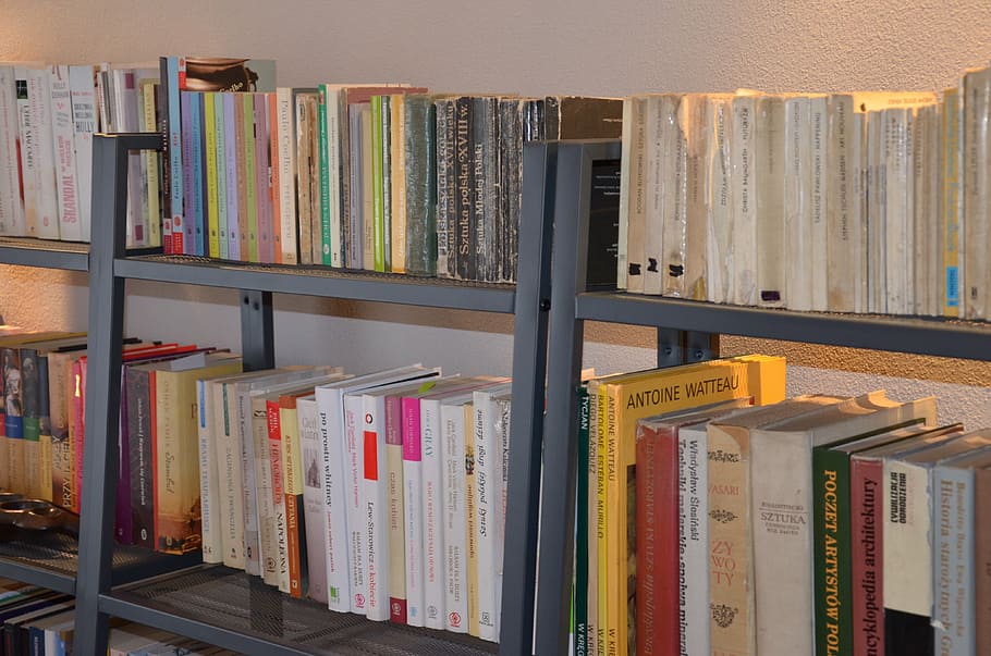 rezervovat, knihomol, police, regál, vydání, objednat, výběr, velká skupina objektů, v řadě, vzdělání, variace, uvnitř, hojnost, uspořádání, knihovna, nikdo, vícebarevné, elegantní, soubor, bok po boku, literatura, papírování, 4K