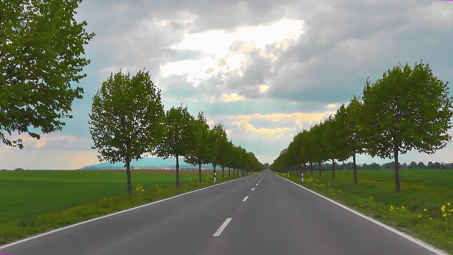 concret, carretera, arbre clipart, avinguda, arbres, arbre, paisatge, naturalesa, automàtic, interminable, carrer principal, transport, cel, núvol - cel, direcció, planta, símbol, signe, el camí a seguir, punt de fuga, marcatge de carreteres, perspectiva decreixent, marcatge, cap gent, escena rural, dia, viatjar, a l'aire lliure, línia divisòria, viatge de carretera, 2K
