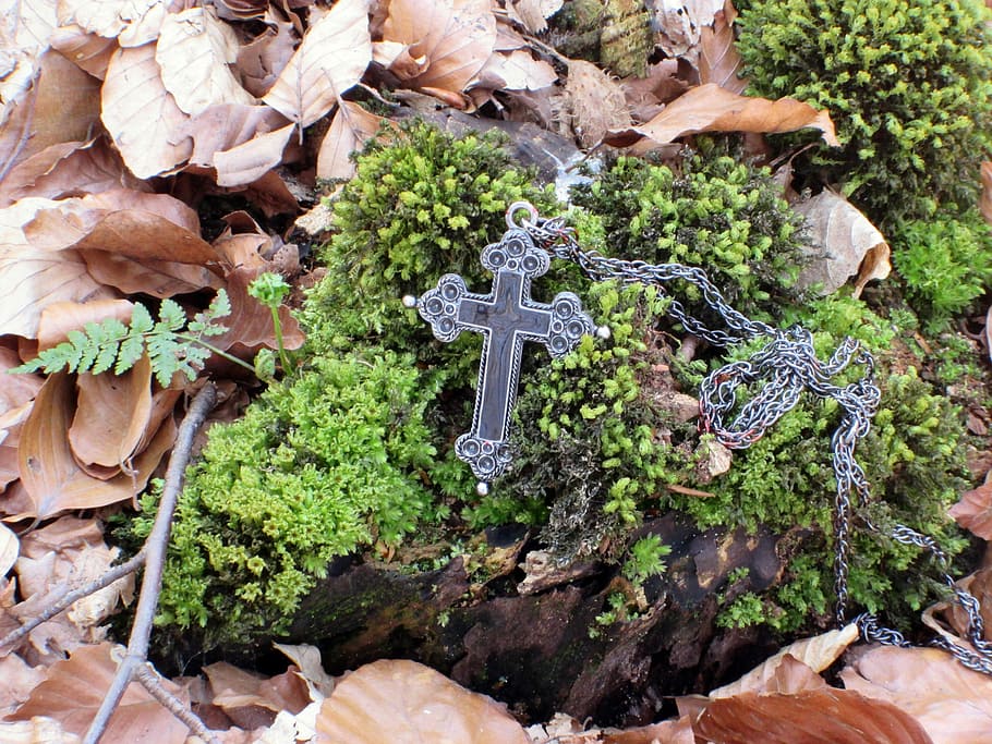 creu, crucifix, molsa, arrel, fulles, registre, monstre de l'arbre, bemoost, bosc, tardor, místic, cap gent, a l'aire lliure, neu, dia, primer pla, religió, creença, espiritualitat, escultura, estàtua, sòlid, representació humana, planta, representació, art i artesania, naturalesa, creixement, semblança masculina, vista d’angle alt, full, 4K