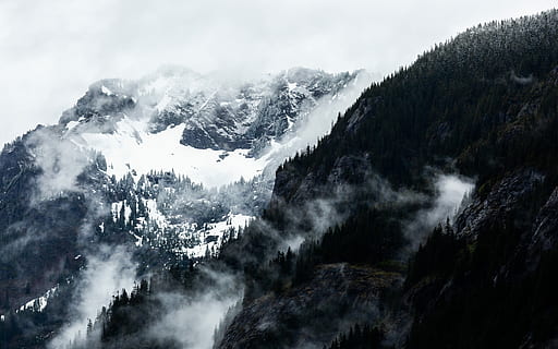 foto de paisatge, muntanya, boires, neu, cobert, boira, núvol, paisatge, hivern, terreny, arbre, snoqualmie pass, nevat, cresta de muntanya, línia de muntanya, accidentat, hayek, canó 5d mkiii, Pacífic nord-oest, Estat de Washington, temperatura de fred, bellesa a la natura, escenics - natura, medi ambient, naturalesa, cel, cap gent, núvol - cel, Serra, tranquil·litat, escena tranquil·la, escena no urbana, planta, a l'aire lliure, muntanya nevada, cim de muntanya, arbre de coníferes, pi, 5K, CC0, domini públic, lliure de regalies
