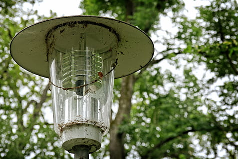 Laterne, Beleuchtung, alt, Licht, Lampe, Straßenlampe, retro, Metall, Flachwinkelansicht, Fokus auf den Vordergrund, Baum, Tag, keine Leute, Lichtanlage, Pflanze, Elektrizität, Natur, draußen, Nahansicht, Technologie, grüne Farbe, Strassenlicht, Straße, Ast, Verbindung, die Glühbirne, transparent, elektrische Lampe, Netzteil, 4K, CC0, gemeinfrei, lizenzfrei