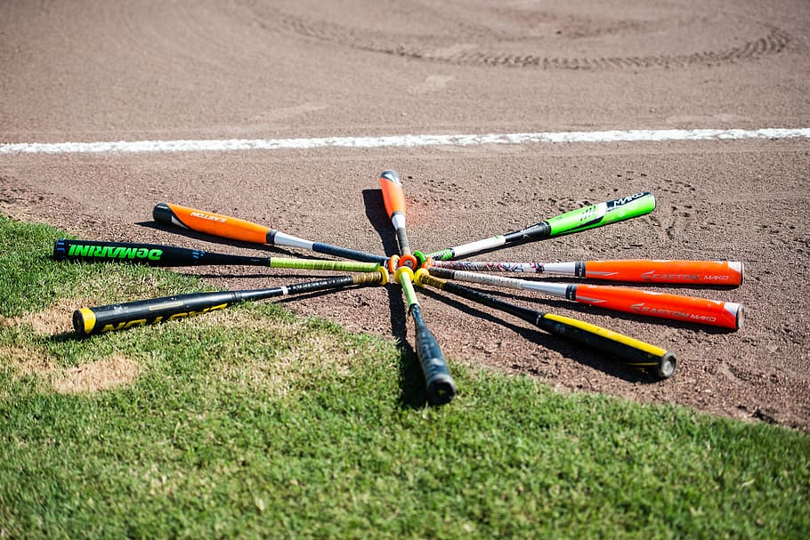 beisbol, ratpenats, camp, multicolor, esport, dia, cap gent, naturalesa, terra, herba, color verd, primer pla, tir amb arc, competició, a l'aire lliure, centrar-se en primer pla, disparar objectiu, planta, elecció, objectiu esportiu, grup mitjà d'objectes, llum solar, 5K