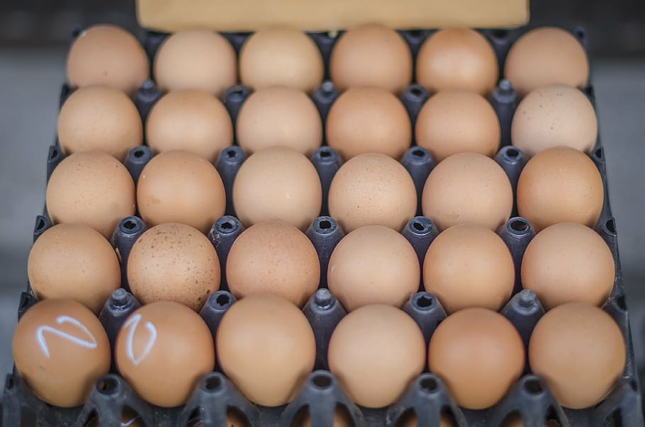 ouă, alimente, Paști, mic dejun, bucătar, maro, proaspăt, sănătos, gălbenuş, proteină, nutriție, tradiţional, de aur, natură, fermă, dietă, eggshell, mancare si bautura, prospeţime, ou, grup mare de obiecte, consecutiv, abundenţă, aranjament, bunăstare, Ordin, nici o persoana, mâncat sănătos, în interior, a închide, cofraj de oua, recipient, Afaceri, repetiţie, mancare cruda, cutie de carton, tavă, 4K