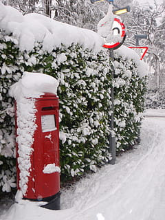 sne, kold, vinter, Postboks, kold temperatur, plante, natur, hvid farve, rød, dag, ingen mennesker, fest, udendørs, dækker, skønhed i naturen, jul, blomst, sner, træ, Frosset, arkitektur, 2K, CC0, offentligt domæne, royaltyfrie