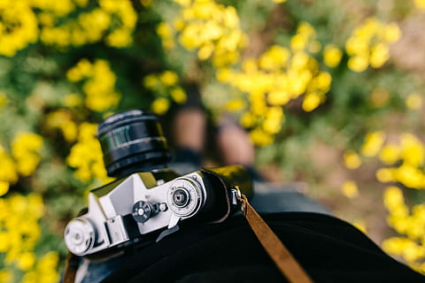 vintage, kamera, bidang, berbunga, pemerkosaan, wanita, musim panas, berkembang, fotografi, juru potret, hobi, memperkosa, rapeseed, musim semi, zenit, gairah, kamera - peralatan fotografi, alam, di luar rumah, musim gugur, lensa - alat optik, memotret, kuning, fokus pada latar depan, teknologi, tidak ada orang, hari, tema fotografi, menanam, peralatan fotografi, merapatkan, kamera digital, aktivitas, pohon, sinar matahari, satu orang, pertumbuhan, 4K, CC0, domain publik, bebas royalti
