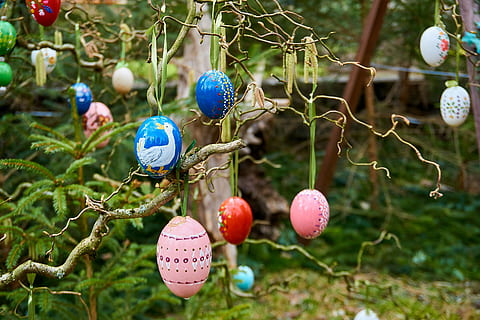 gut ostern, Bieberbach, Ostereier, Brauch, Brunnen Schmuck, Ostern, Osterhase, Religion, Osterei, Dekoration, Ostertradition, Osterthema, Tradition, Frohe Ostern, Ostergruß, fränkische schweiz, Egloffstein, Guinness-Buch, Guinness-Buch der Rekorde, bunte Eier, Hase, Zoll, Deko, bemaltes Ei, Frühling, Osterdekorationen, Ostergrüße, bunt, Ei, Osterfeier, Spaß, Osterdekoration, Grußkarte, osterkorb, hängend, Feier, Lebensmittel, Baum, Urlaub, Fokus auf den Vordergrund, keine Leute, Nahansicht, Pflanze, Natur, Tag, mehrfarbig, Essen und Trinken, Ferienveranstaltung, draußen, Weihnachtsverzierung, 5K, CC0, gemeinfrei, lizenzfrei