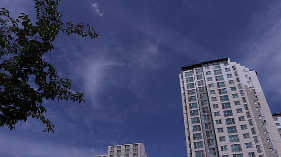 hemel, wolken, wolk, gebouw, gebouwen, boom, bomen, blad, bladeren, fabriek, planten, hoog, ramen, appartement, appartementen, huis, huizen, lucht, vlak, vliegtuig, blauw, schoon, duidelijk, zuiver, herfst, vallen, seizoen, zomer, de lente, zonnig, zuiden, wolkenkrabber, hout, deze safari, deze mensen, doekjes, de bladeren, venster, enkel en alleen, enkel zij, huizen te koop, voor, vlucht, seizoensgebonden, zee, zon, de middag, zonneschijn, ontwerp, Korea, Koreaans, buitenshuis, toerisme, toneel-, rots, Azië, landschap, steen, wit, reizen, groen, architectuur, ingebouwde structuur, buitenkant van het gebouw, stad, lage hoekweergave, wolk - lucht, kantoorgebouw buitenkant, natuur, geen mensen, groot hoog, modern, kantoor, woonwijk, dag, verontreiniging, 5K, CC0, publiek domein, royaltyvrij