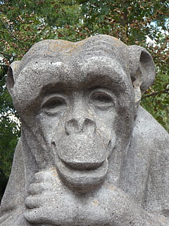Monkey, Stone, Stony, Face, smiling, friendly, statue, sculpture, portrait, outdoors, day, no people, art and craft, representation, human representation, craft, creativity, close-up, male likeness, stone material, park, park - man made space, solid, carving - craft product, plant, nature, carving, 4K, CC0, public domain, royalty free