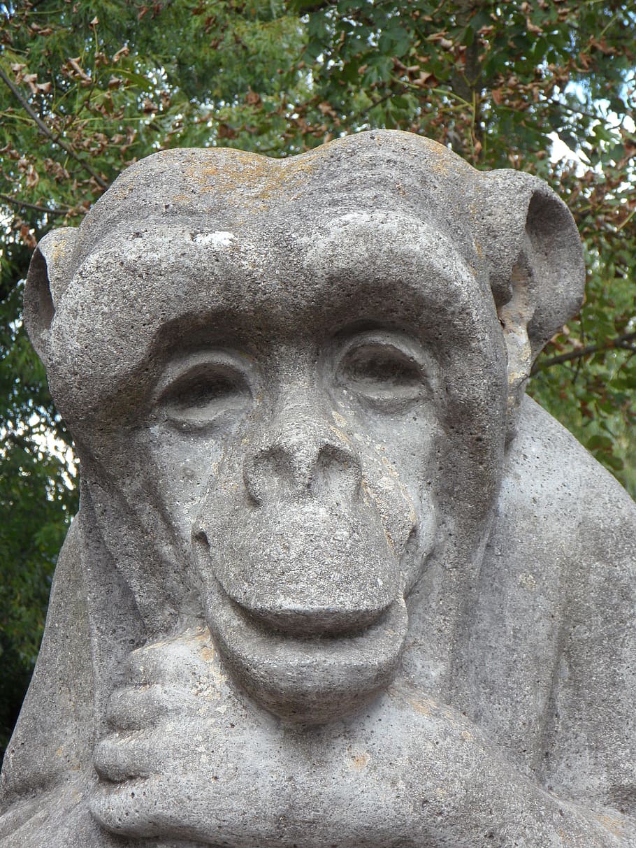mico, pedra, pedregós, cara, somrient, amable, estàtua, escultura, retrat, a l'aire lliure, dia, cap gent, art i artesania, representació, representació humana, artesania, creativitat, primer pla, semblança masculina, material de pedra, parc, parc - l'home va fer espai, sòlid, talla - producte artesanal, planta, naturalesa, talla, 4K