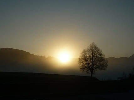 luce del sole, tramonto, ombra, abendstimmung, atmosfera, crepuscolo, sole, umore, natura, Dramma, luce, silhouette, albero, paesaggio, nebbia, mattina, cielo, la tranquillità, scena tranquilla, bellezza nella natura, scenics - natura, ambiente, pianta, albero nudo, nessuno, scena non urbana, copia spazio, campo, terra, all'aperto, luminosa, 2K, CC0, dominio pubblico, privo di copyright