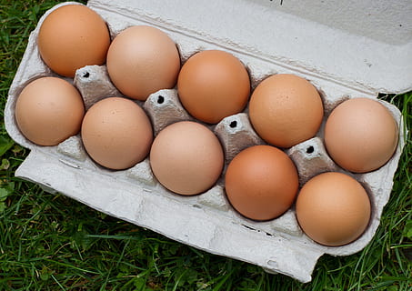 ou, pui, Paști, oua de Paste, fermă, găină, agricultură, alimente, bio, natură, coajă, oua de pui, nutriție, vedere în unghi mare, nici o persoana, bunăstare, mâncat sănătos, mancare si bautura, fragilitate, cofraj de oua, vulnerabilitate, maro, prospeţime, iarbă, zi, grup de obiecte, recipient, mancare cruda, a închide, natură moartă, în aer liber, 2K, CC0, domeniu public, fără drepturi de autor