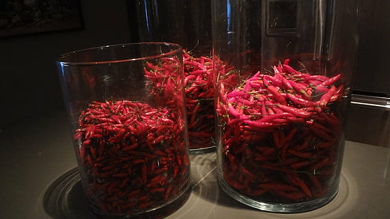 pimienta, pimiento rojo, Condimento, vaso, equipo doméstico, rojo, comida y bebida, adentro, nadie, comida, de cerca, refresco, frescura, beber, alimentación saludable, bienestar, naturaleza muerta, gran grupo de objetos, el plastico, transparente, material de vidrio, 1080P, CC0, dominio público, libre de derechos