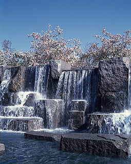 cascata, memoriale, alberi, ciliegia, roccia, panoramico, acqua, Washington, dc, fdr, Presidente, Franklin Roosevelt, Stati Uniti d'America, monumento, movimento, natura, bellezza nella natura, giorno, lunga esposizione, acqua corrente, cielo, blu, scenics - natura, albero, cielo sereno, pianta, nessuno, movimento sfocato, architettura, spruzzi, all'aperto, fluente, potere in natura, 1080P, CC0, dominio pubblico, privo di copyright