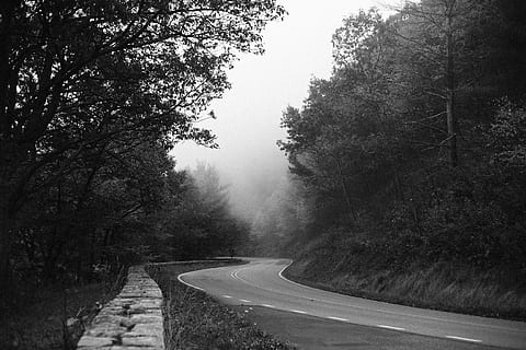 gri, zigzag, beton, drum, drumul gri, îndoire, copac, pădure, perete, nor, aburi, ceaţă, plantă, transport, direcţie, calea de urmat, natură, curba, liniște, nici o persoana, semn, o scenă liniștită, creştere, frumusețe în natură, zi, drum liber, simbol, în aer liber, diminuarea perspectivei, 5K, CC0, domeniu public, fără drepturi de autor