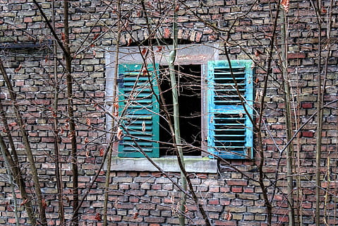 window, wall, shutter, bricks, old, built structure, building exterior, architecture, brick wall, building, brick, no people, wall - building feature, day, plant, tree, low angle view, bare tree, outdoors, house, residential district, branch, stone wall, 5K, CC0, public domain, royalty free