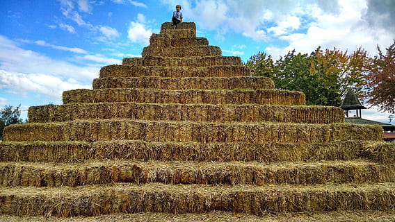 person, sitting, top, pyramid, hay, bales, stack, climb, children, agriculture, straw, farm, sky, yellow, farming, agricultural, rural, autumn, harvest, outdoor, season, haystack, cloud - sky, architecture, religion, plant, built structure, history, nature, the past, ancient, belief, spirituality, no people, place of worship, day, travel, landscape, travel destinations, outdoors, ancient civilization, 4K, CC0, public domain, royalty free