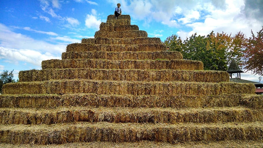 Person, Sitzung, oben, Pyramide, Heu, Ballen, Stapel, steigen, Kinder, Landwirtschaft, Stroh, Bauernhof, Himmel, Gelb, landwirtschaftlich, ländlich, Herbst, Ernte, draussen, Jahreszeit, Heuhaufen, wolke - himmel, die Architektur, Religion, Pflanze, gebaute Struktur, Geschichte, Natur, die Vergangenheit, uralt, Glauben, Spiritualität, keine Leute, Anbetungsstätte, Tag, Reise, Landschaft, Reiseziele, draußen, alte Zivilisation, 4K