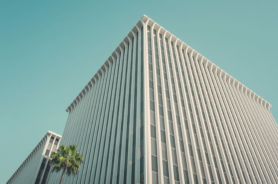 blanc, edifici, al costat, arbre, durant el dia, fotografia d'angle baix, edifici de mitja altura, finestra, torre, oficina, gratacels, arquitectura, exterior, cel, Palmera, façana, perspectiva, minimalista, estructura, fora, línia, estructura construïda, exterior de l'edifici, cel clar, vista d’angle baix, modern, naturalesa, dia, cap gent, exterior d’edifici d’oficines, a l'aire lliure, blau, planta, ciutat, patró, alta - alta, 4K