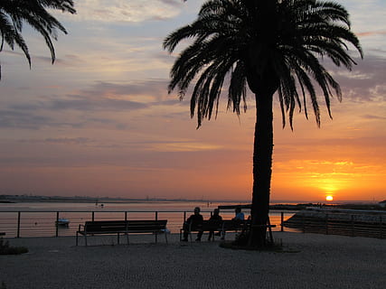amics, tarda, rio, posta de sol, cel, aigua, bellesa a la natura, silueta, mar, escenics - natura, Palmera, platja, clima tropical, arbre, terra, naturalesa, núvol - cel, color taronja, escena tranquil·la, tranquil·litat, planta, tronc de l'arbre, horitzó sobre l’aigua, a l'aire lliure, 4K, CC0, domini públic, lliure de regalies