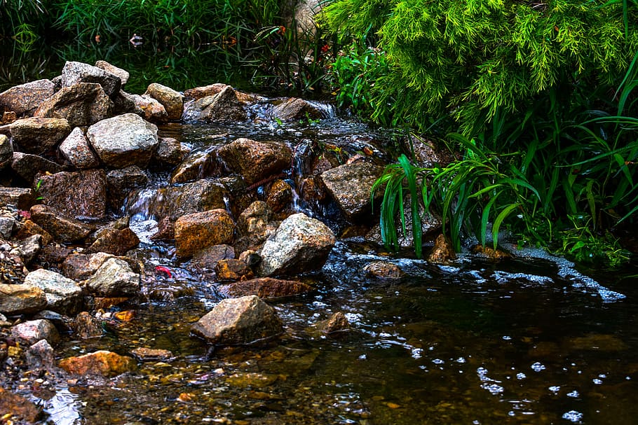 rierol, roques, riu, naturalesa, corrent, natural, verd, paisatge, flux, aigua, rock, sòlid, rock - object, planta, arbre, bosc, dia, cap gent, descàrrega, creixement, aigua que flueix, bellesa a la natura, terra, a l'aire lliure, tranquil·litat, rierol: aigua que flueix, que flueix, poc profund, 5K