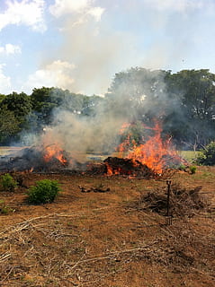 ild, veld, røg, røg - fysisk struktur, flamme, brænding, jord, varme - temperatur, miljø, brand - naturligt fænomen, natur, Mark, himmel, miljøspørgsmål, landskab, ingen mennesker, plante, udendørs, dag, forurening, luftforurening, miljøskader, 2K, CC0, offentligt domæne, royaltyfrie