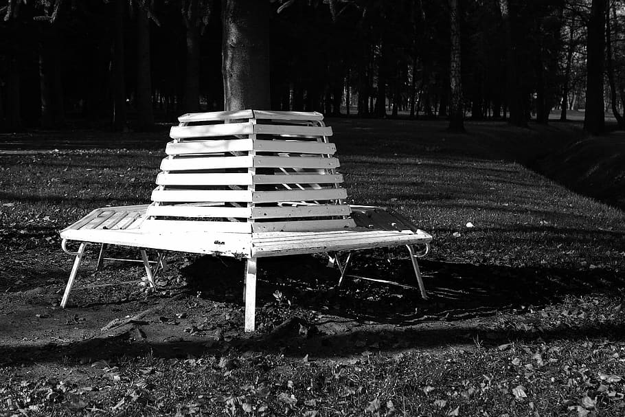 banc, naturalesa, ombra, arbres, herba, blanc i negre, contrast, descans, stromovka, planta, arbre, seient, terra, tronc, tronc de l'arbre, parc, dia, parc - l'home va fer espai, absència, buit, cap gent, camp, a l'aire lliure, relaxació, cadira, llum solar, Banc del parc, 5K