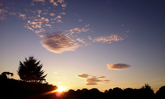 himmel, moln, bakgrund, himlen moln, solnedgång, natur, Sol, sommar, utomhus, solljus, skymning, träd, växt, scenics - natur, silhuett, skönhet i naturen, moln - himmel, lugn plats, lugn, inget folk, solstråle, landskap, bakgrundsbelyst, miljö, multi färgad, linsflare, ljus, tall, 2K, CC0, offentligt domän, royaltyfria