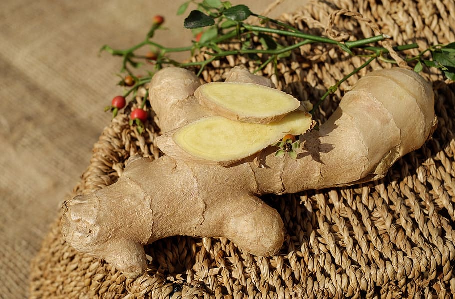 primer pla, foto, gingebre, marró, teixit, superfície, ingber, immerwurzel, arrel, agut, espècia, vitamines, menjar, curació, saludable, animal, cap gent, arbre, material de fusta, centrar-se en primer pla, temes d'animals, fauna animal, un animal, naturalesa, dia, a l'aire lliure, part del cos dels animals, branca, menjar i beguda, vertebrats, animals a la natura, planta, 4K