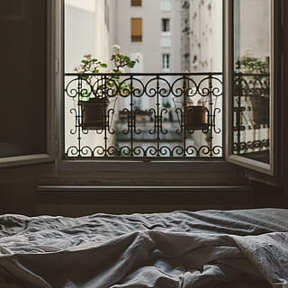 closeup, photo, open, window, flower, gray, bed, cover, daytime, home, sheet, morning, balcony, potted plant, interior, pari, lazy, bedroom, bedtime, railing, plant, furniture, indoors, domestic room, architecture, home interior, no people, day, house, built structure, absence, building, pillow, glass - material, textile, relaxation, text, cozy, floral pattern, 4K, CC0, public domain, royalty free