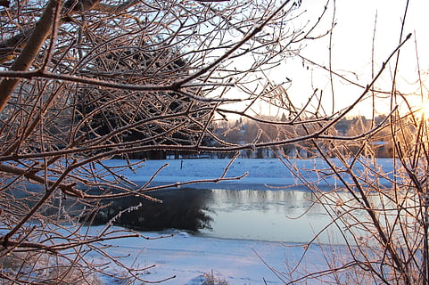 vinter-, flod, vintrig, natur, landskap, vinter magi, tyst, vatten, lugn, växt, träd, inget folk, sjö, gren, skönhet i naturen, icke-urbana scenen, dag, lugn plats, scenics - natur, nakna träd, himmel, reflexion, utomhus, kall temperatur, död växt, 2K, CC0, offentligt domän, royaltyfria