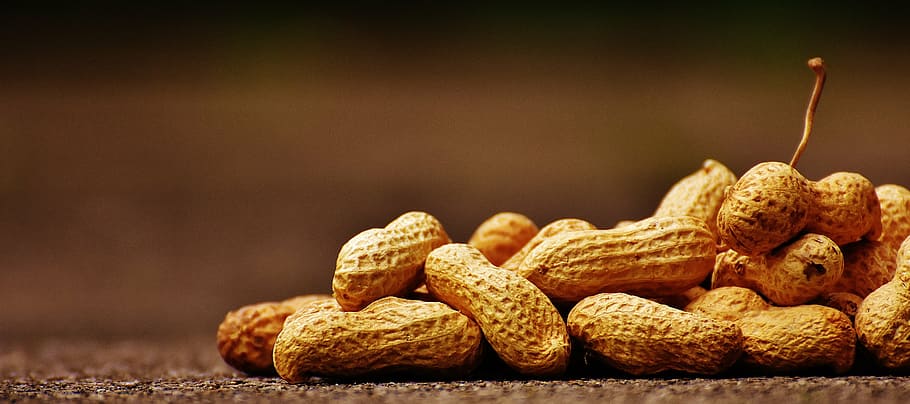 primer pla, foto, cacauets, marró, superfície, shell, menjar, deliciós, nutrició, cacauet, knabberzeug, nou, closca de nou, berenar, saborós, fruits secs, obert, mossegada, cap gent, temes d'animals, animals a la natura, dia, a l'aire lliure, menjar i beguda, alimentació saludable, frescor, benestar, al forn, a l'interior, natura morta, pa, menjar dolç, fruita, integral, taula, cookie, gran grup d'objectes, esmorzar, menjar indi, temptació, hidrats de carboni - tipus d'aliments, 5K