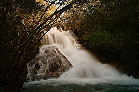 tobt, Wasserfälle, umgeben, Bäume, Fluss, Wasser, Wald, Seideneffekt, Wasserfall, Natur, Strom, Baum, szenen, draußen, Landschaft, Schönheit in der Natur, Szenen - Natur, Pflanze, Bewegung, Land, Langzeitbelichtung, Umgebung, Rock, solide, keine Leute, Rock - Objekt, fließendes Wasser, fließend, Regenwald, 5K, CC0, gemeinfrei, lizenzfrei
