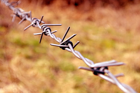 selectiv, focalizați fotografia, gri, barbwire, sârmă, ghimpi, Pericol, frontieră, gard, intimitate, macro, fundal, protecţie, sârmă ghimpată, nici o persoana, natură, metal, iarbă, bicicletă, să se concentreze asupra primelor elemente, teren, zi, în aer liber, toamnă, consecutiv, camp, pădure, mişcare, a închide, viteză, transport, activitate, scenă non-urbană, argintiu colorat, 2K, CC0, domeniu public, fără drepturi de autor