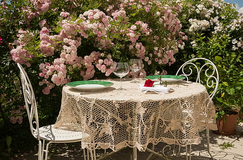 rodó, blanc, taula, beix, matalàs de puntes de puntes, durant el dia, estiu, invitació, estovalles, relaxació, roses, sol, terrassa, plaques, copes de vi, cadires, flors, cadira, flor, decoració, restaurant, a l'aire lliure, mobles, planta amb flors, planta, naturalesa, seient, cap gent, frescor, color rosa, bellesa a la natura, primavera, arbre, menjar i beguda, gerro, rosa, dia, fragilitat, Color blanc, arranjament floral, bouquet, configuració, 5K, CC0, domini públic, lliure de regalies