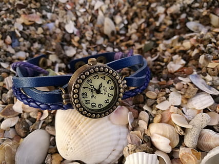 mussels, macro, watch, shells, nature, land, day, high angle view, rock, solid, stone - object, no people, pebble, outdoors, stone, rock - object, time, close-up, metal, animal wildlife, leaf, plant part, clock, pocket watch, 4K, CC0, public domain, royalty free