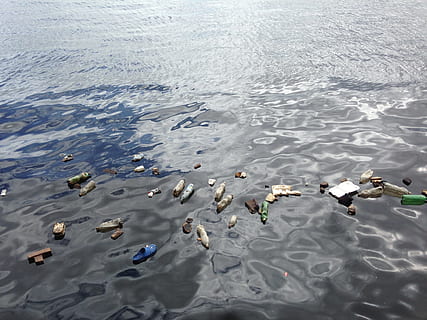 aerial, view photography, garbages, floating, body, water, polluted, plastic, garbage, bottle, environment, texture, ocean, high angle view, vertebrate, animal, animal wildlife, animal themes, nature, animals in the wild, bird, day, lake, group of animals, swimming, waterfront, no people, outdoors, poultry, duck, 2K, CC0, public domain, royalty free
