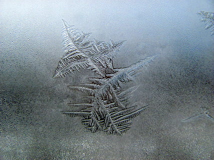 neige, hiver, la fenêtre, la glace, saison, flocon de neige, gel, température froide, personne, la nature, journée, à l'intérieur, texturé, animal, arrière-plans, fermer, en plein air, modèle, thèmes animaux, forme, beauté dans la nature, conception, la faune des animaux, plein cadre, 2K, CC0, domaine public, libre de droits