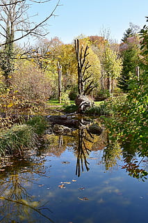 neizolat, copac, lângă, lac, apă, oglindire, râu, reflecții, parc, pădure, toamnă, apa alerga, romantic, natură, curgere, frumos, fermecător, dispozitie, idilic, atmosferic, peisaj, odihnă, tăcut, relaxare, recuperare, reflectarea apei, contrast, joc de culoare, albastru, verde, imagine de fundal, ușoară, mistic, culoare, fundal, atmosfera, colorat, plantă, creştere, liniște, frumusețe în natură, reflecţie, cer, o scenă liniștită, nici o persoana, scenice - natura, zi, malul mării, scenă non-urbană, Culoarea verde, în aer liber, teren, 5K, CC0, domeniu public, fără drepturi de autor